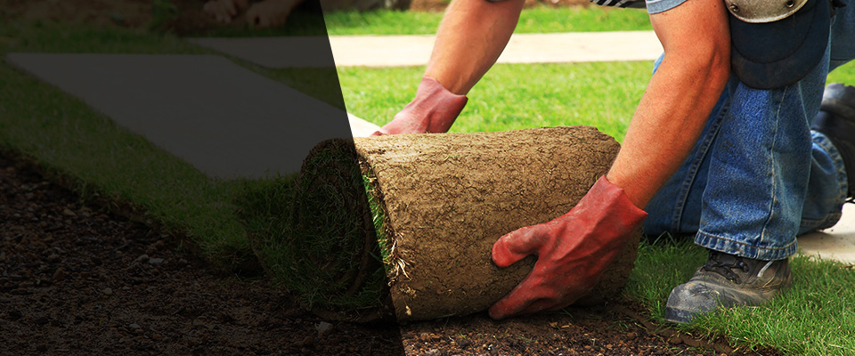 Derby Landscapers